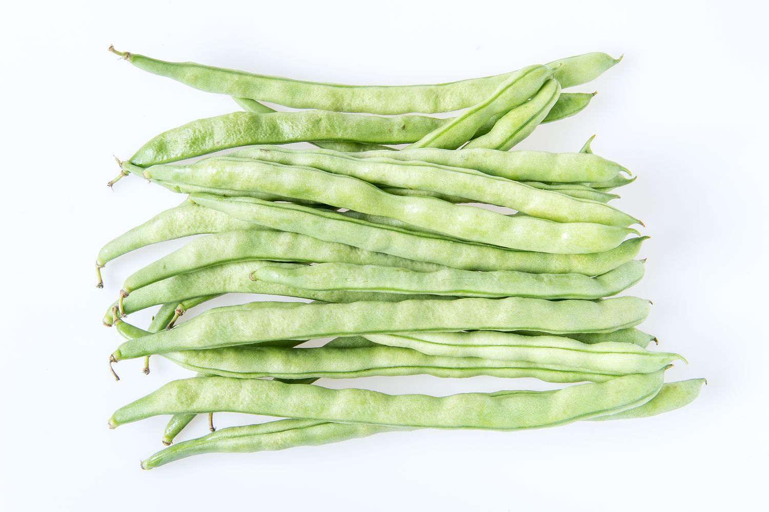 Kentucky wonder Pole Beans(Phaseolus vulgaris)(Stangenbohnen)