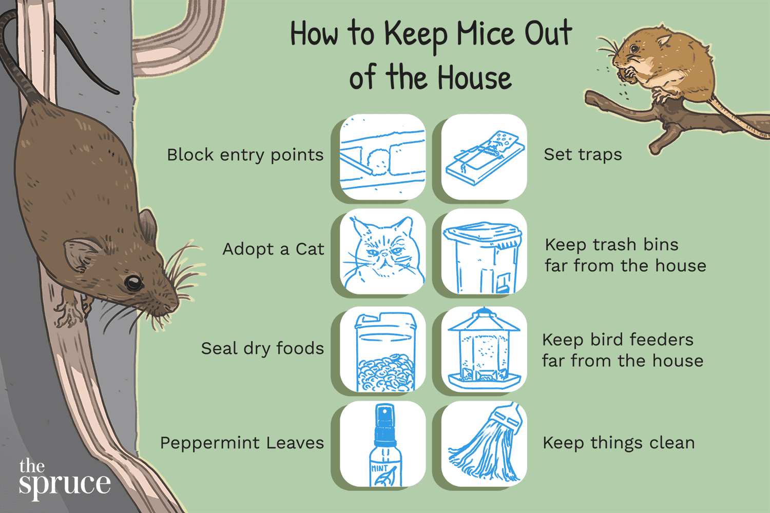 Comment empêcher les souris d'entrer dans la maison