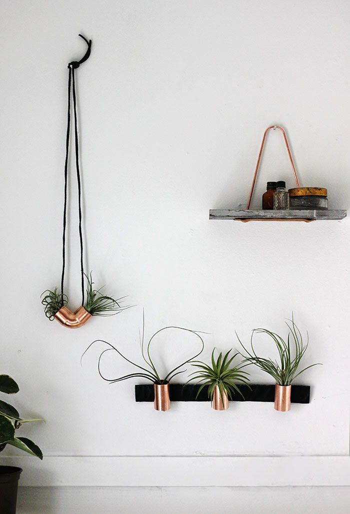 Copper airplant holders