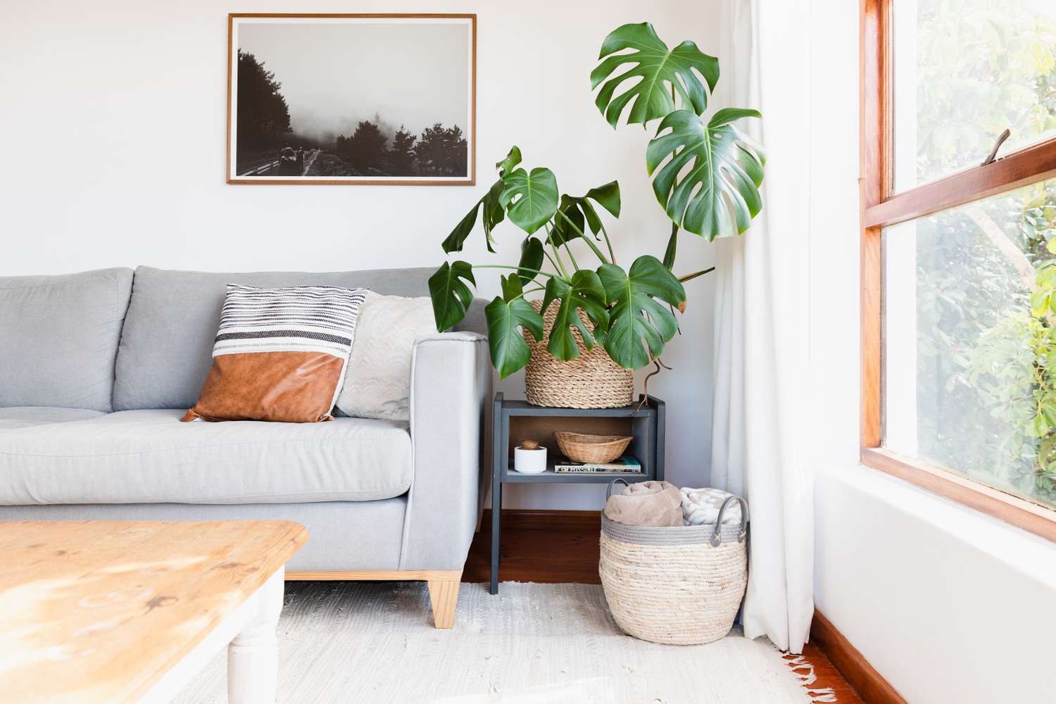 Hell erleuchtetes Wohnzimmer mit grauer Couch, hoher Zimmerpflanze und braunem Korb am Fenster