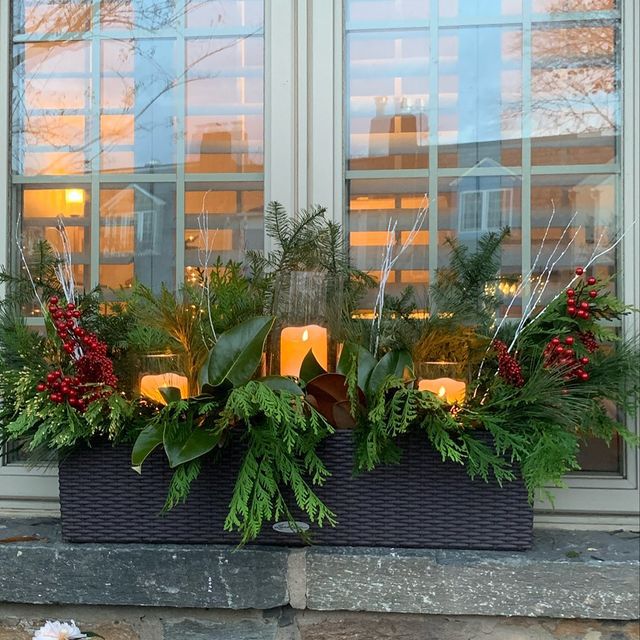 Fensterkasten mit Wintergrün, schlanken weißen Zweigen und roten Beeren mit drei gläsernen Kerzenhaltern, in denen goldene Kerzen brennen