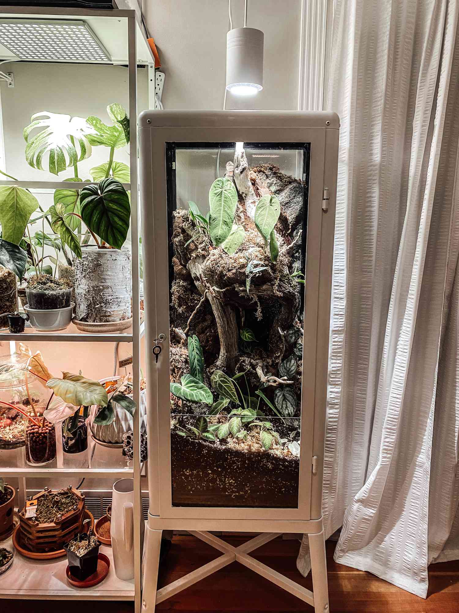 Wunderschönes Terrarium aus einem IKEA-Schrank von @Camiplants