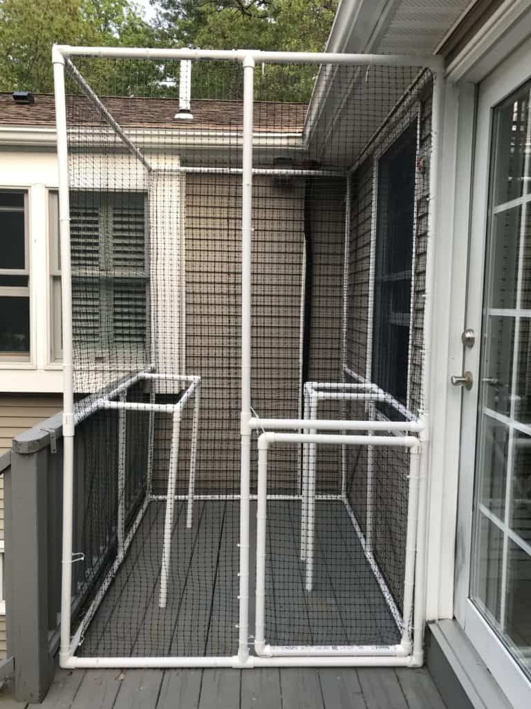 Un recinto de PVC para gatos en un porche