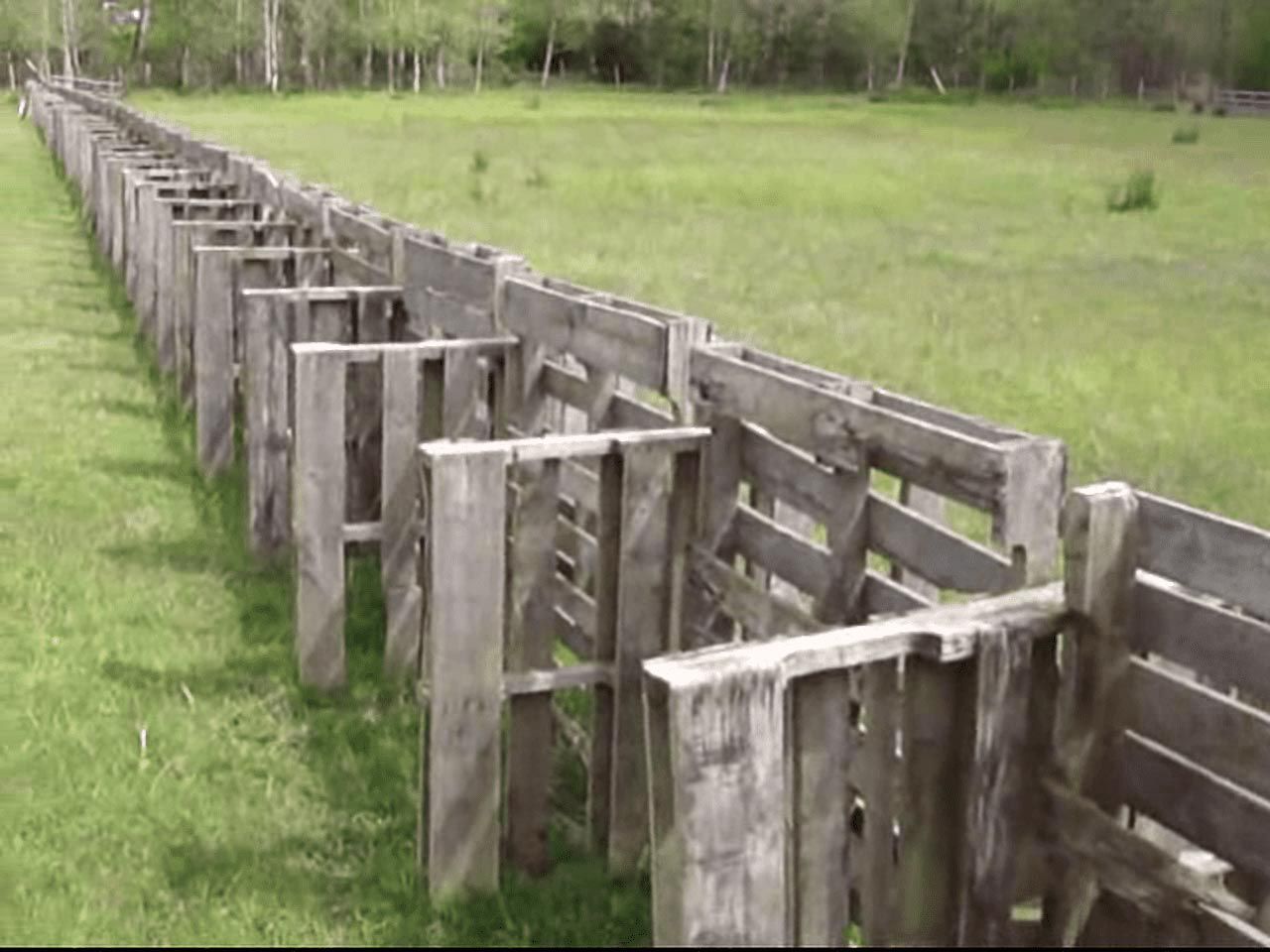 Wood Pallet Fence
