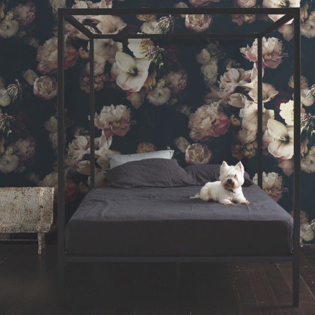 dark floral wallpaper in bedroom