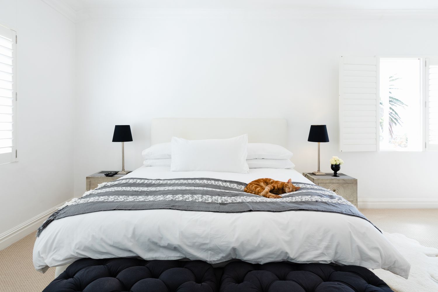 Dormitorio minimalista con paredes pintadas de blanco y gato marrón tumbado en medio de la cama