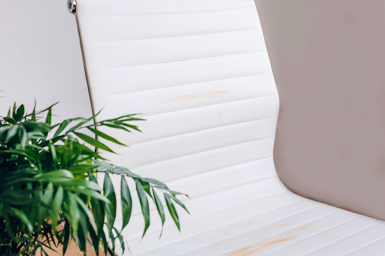 Weißer Lederstuhl mit braunen Flecken neben einer Zimmerpflanze