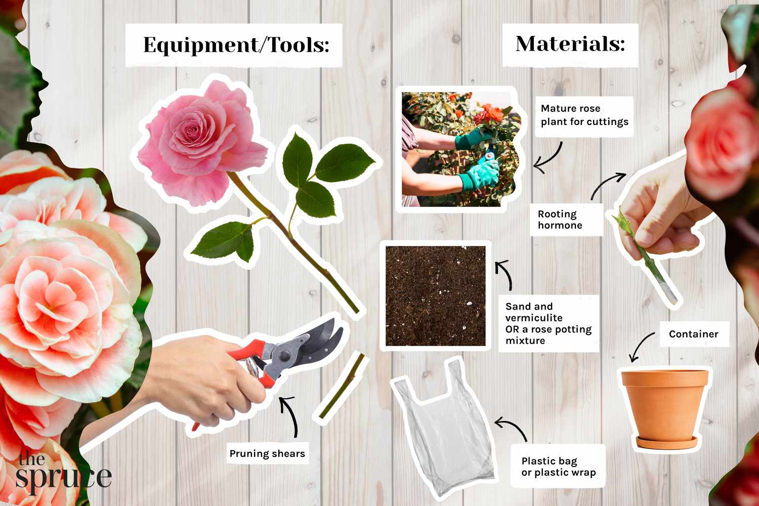 Materialien und Werkzeuge für die Rosenzucht aus Stecklingen 