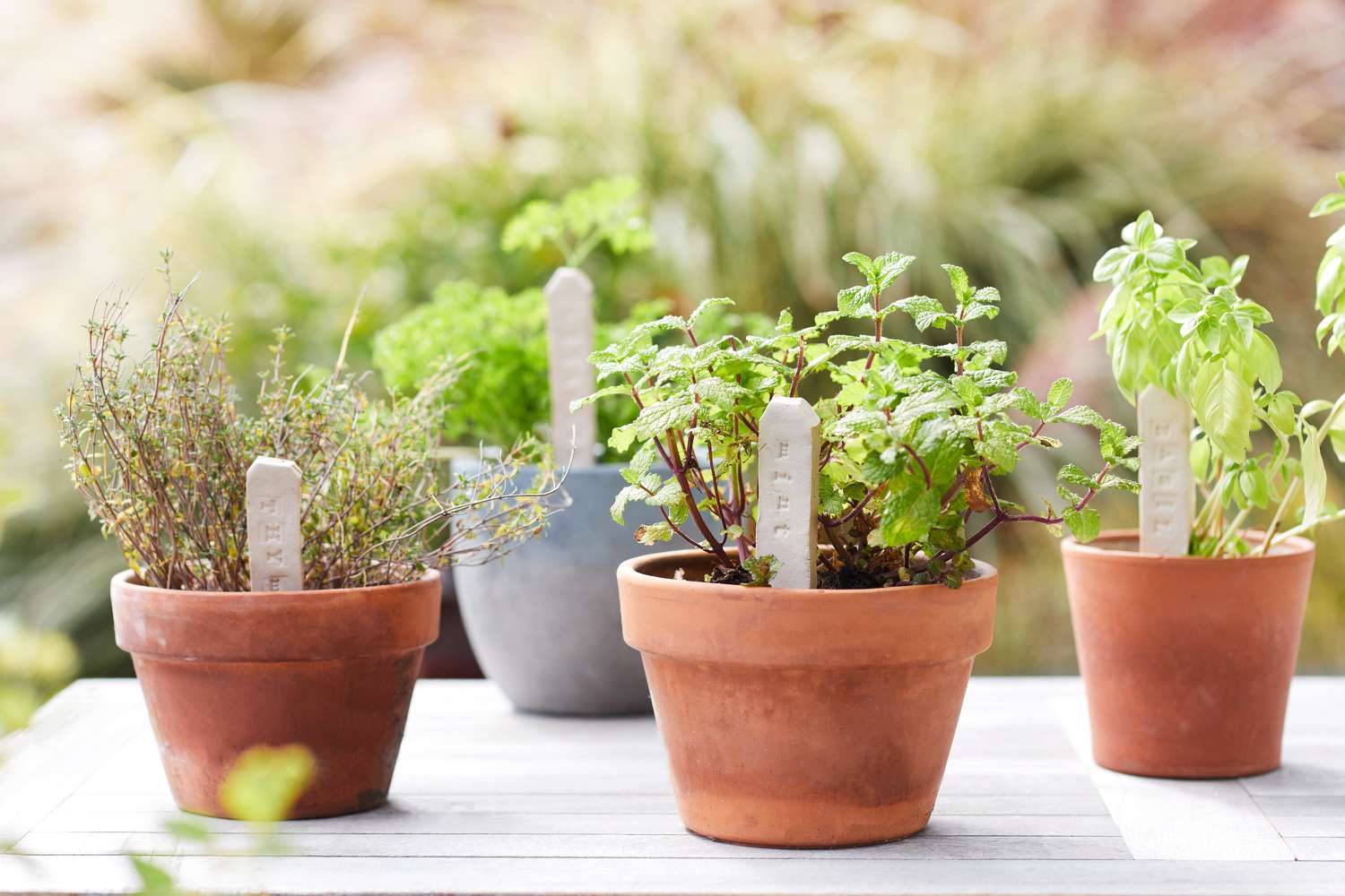 DIY clay plant labels in herb pots