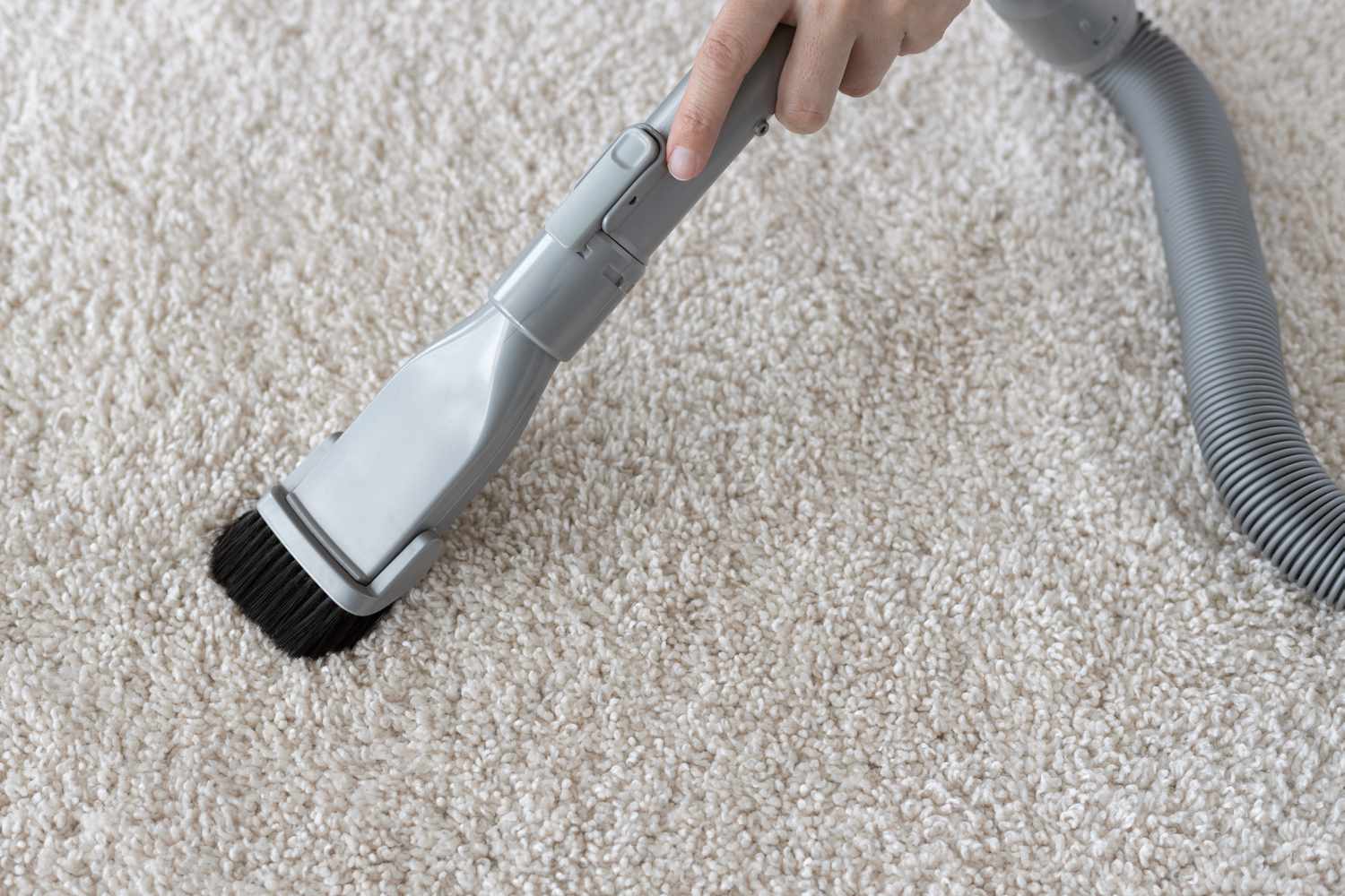 Cremefarbener Teppich nach Lufttrocknung gesaugt 