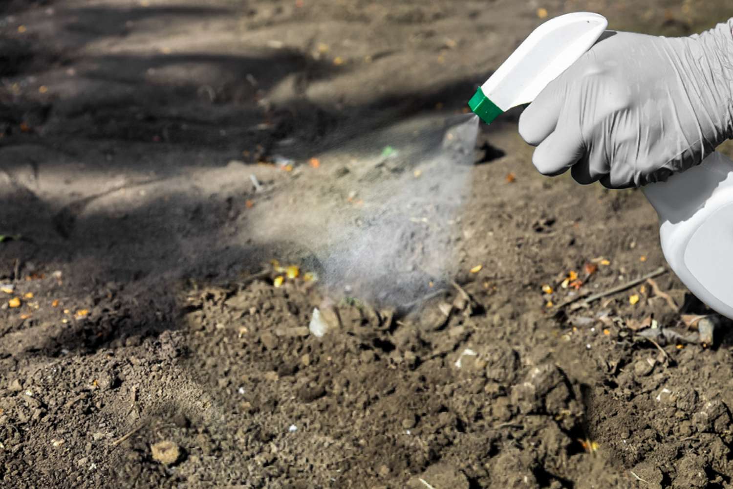 usando pesticida ao ar livre