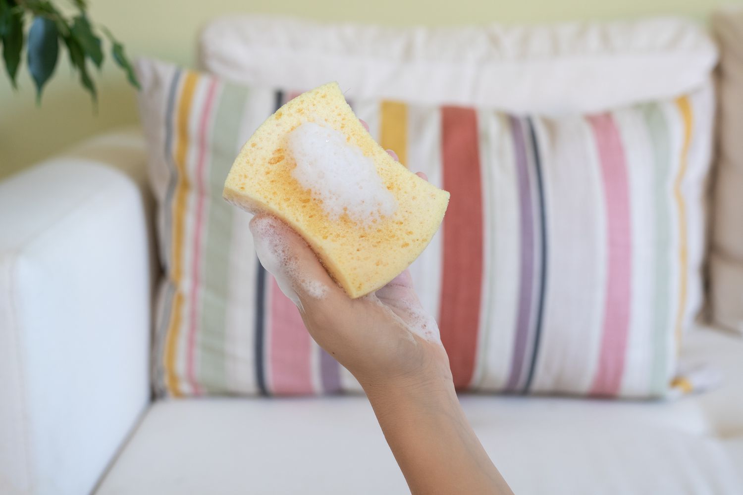 Soap suds on yellow sponge in front of striped throw pillow