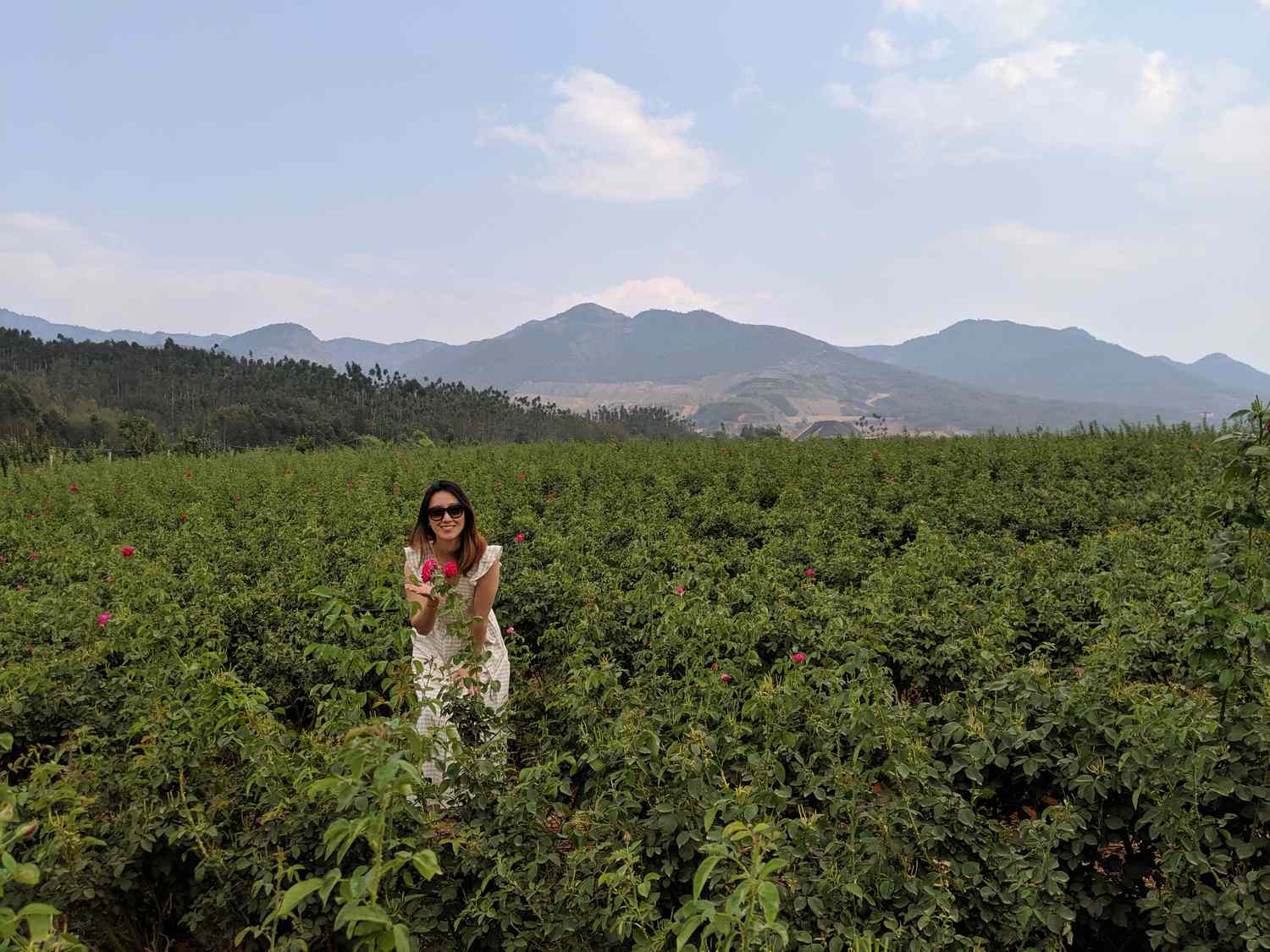 Lisa li auf der Rosenfarm