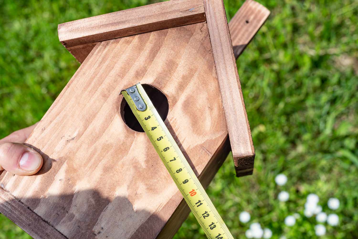 Melhores dimensões para os orifícios de entrada da casa de pássaros
