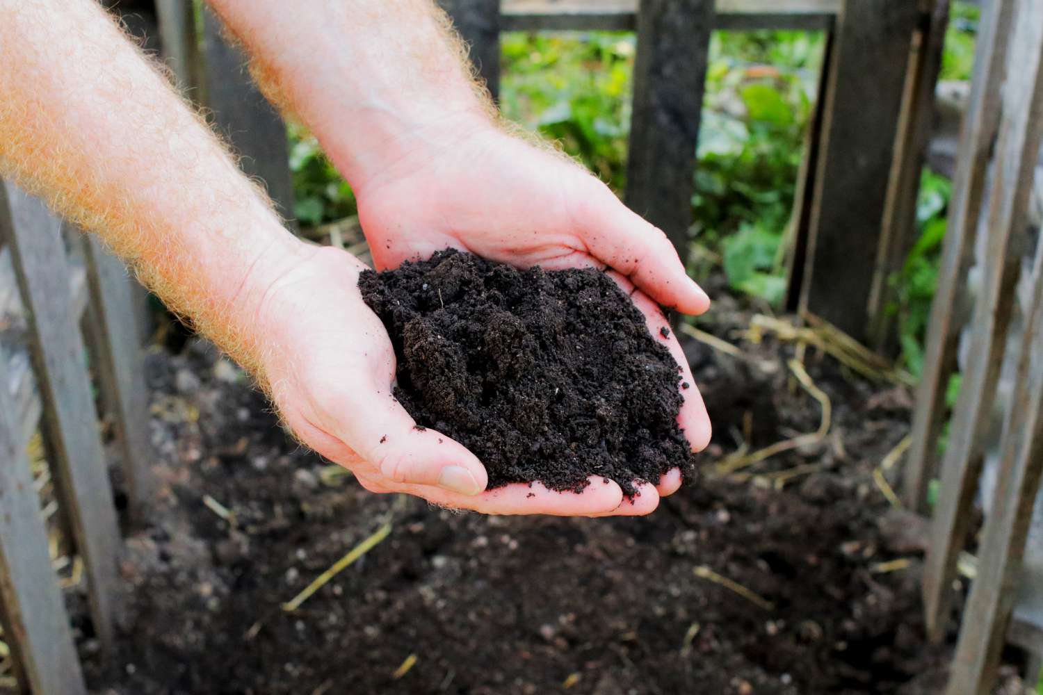 Comment créer facilement un compost d’or noir ?