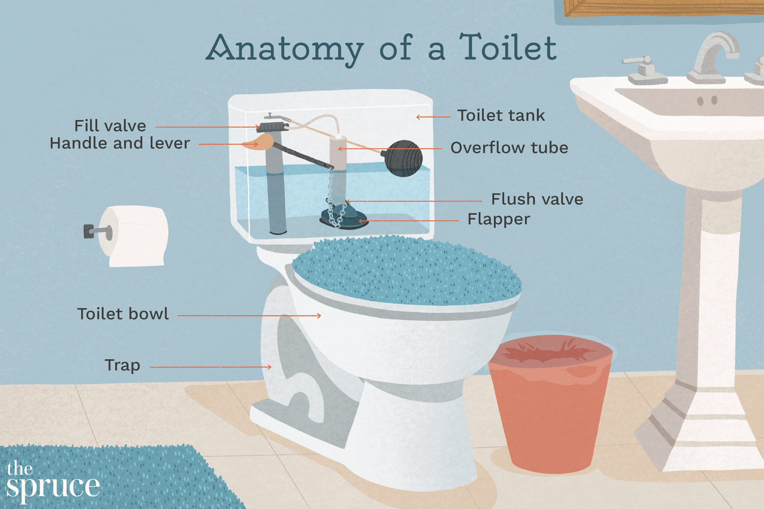 anatomie einer toilette illustration