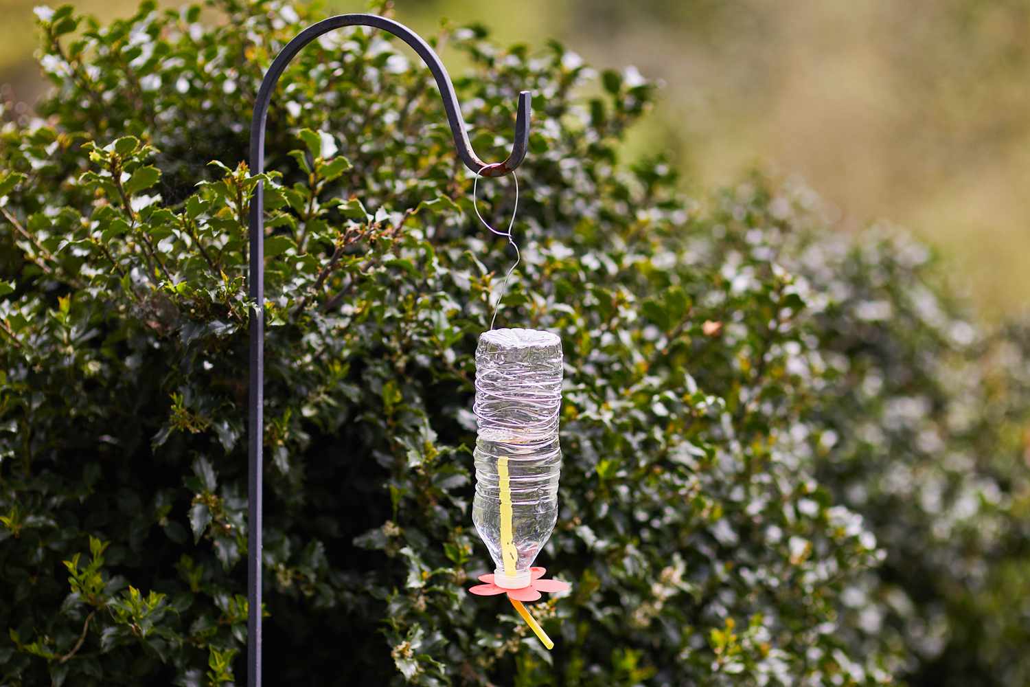 Cómo hacer un comedero para colibríes DIY