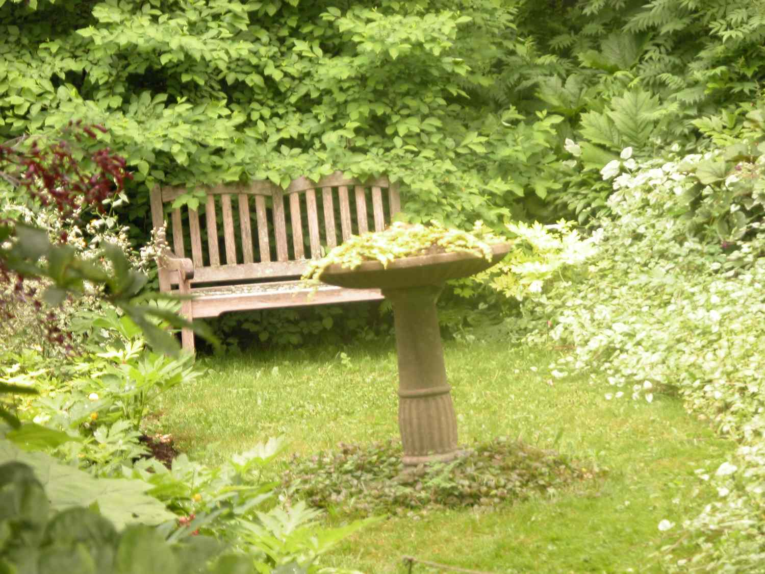 Schattiges Plätzchen im Garten zum Sitzen