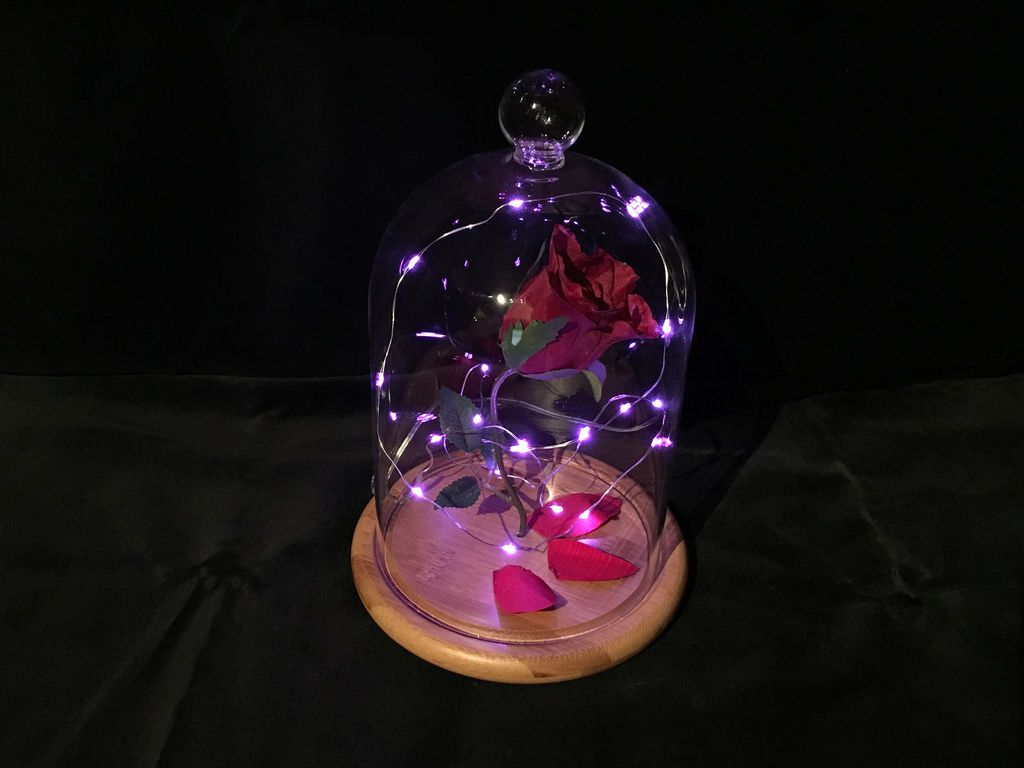 DIY Nachtlicht mit verzauberter Rose aus Disneys Die Schöne und das Biest