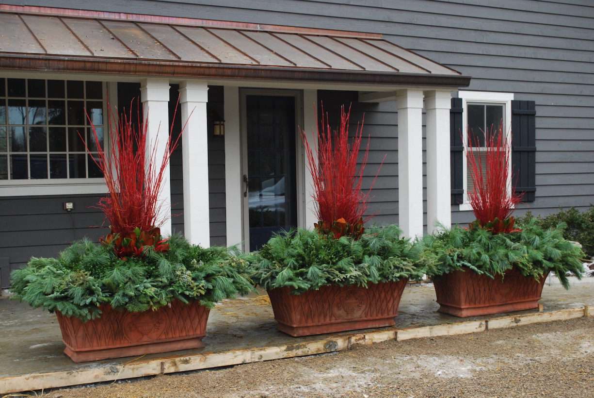 Tres jardineras rectangulares de terracota con muestras invernales de ramas perennes y ramitas pintadas de rojo delante de una casa gris