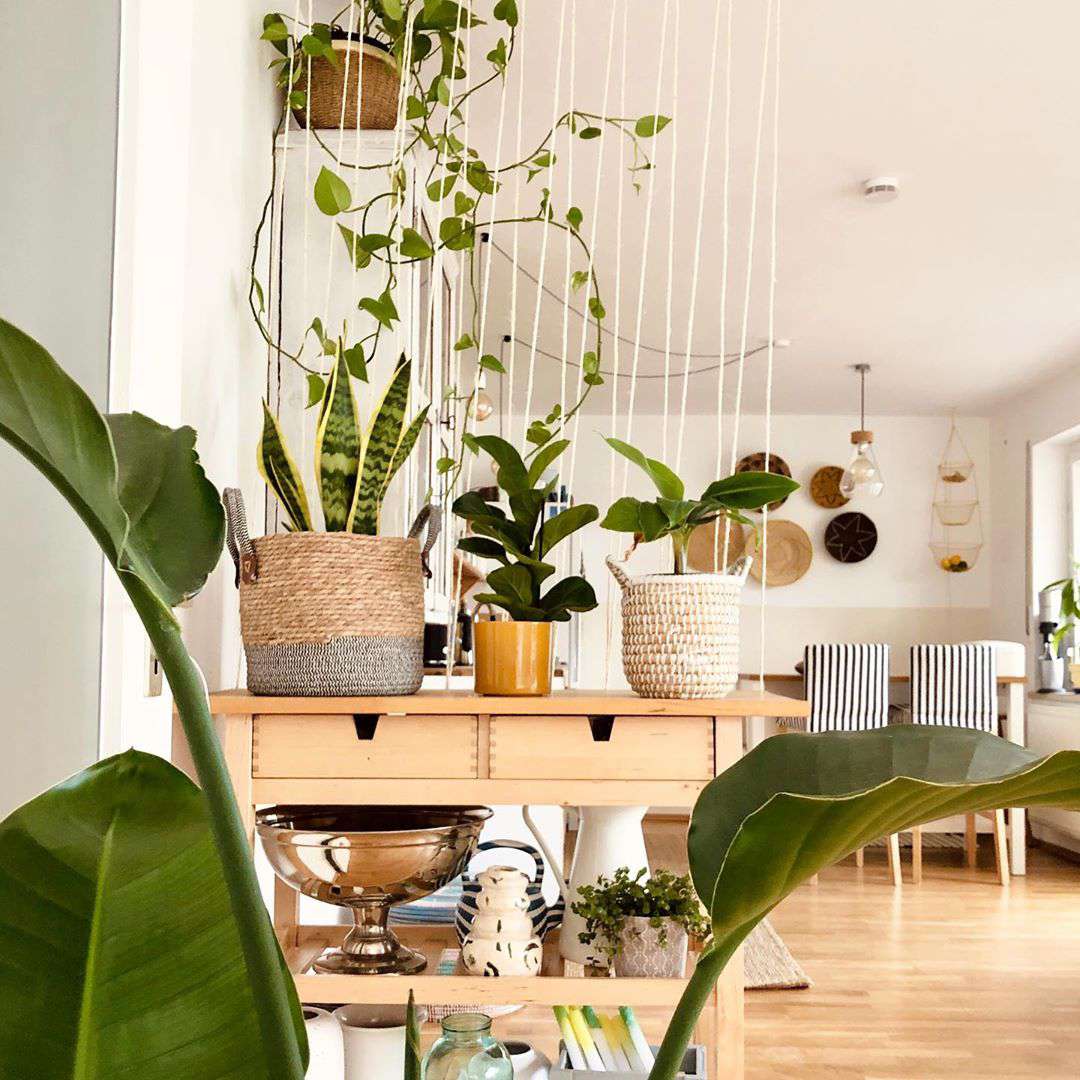 Salon avec une table console