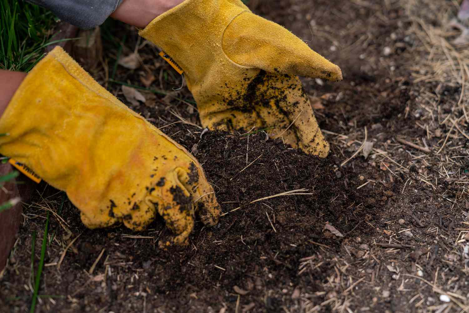 Gartenerde wird mit gelben Handschuhen aufgesammelt