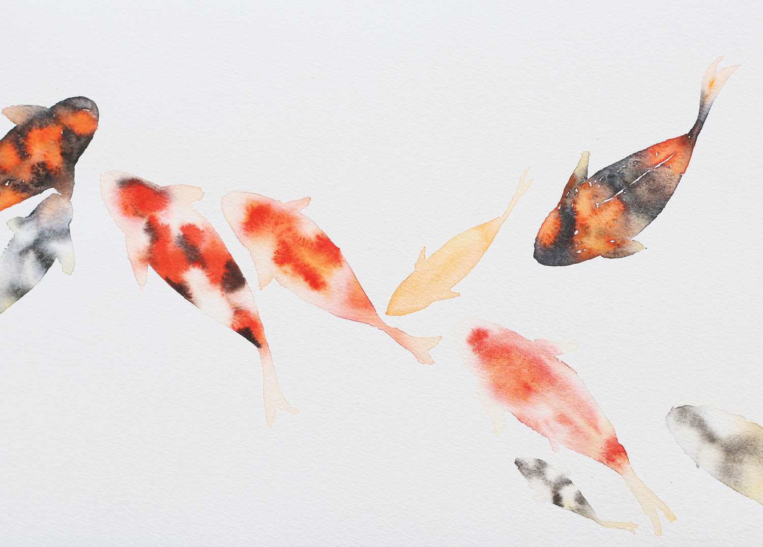 Pintura de peces con acuarela sobre papel blanco