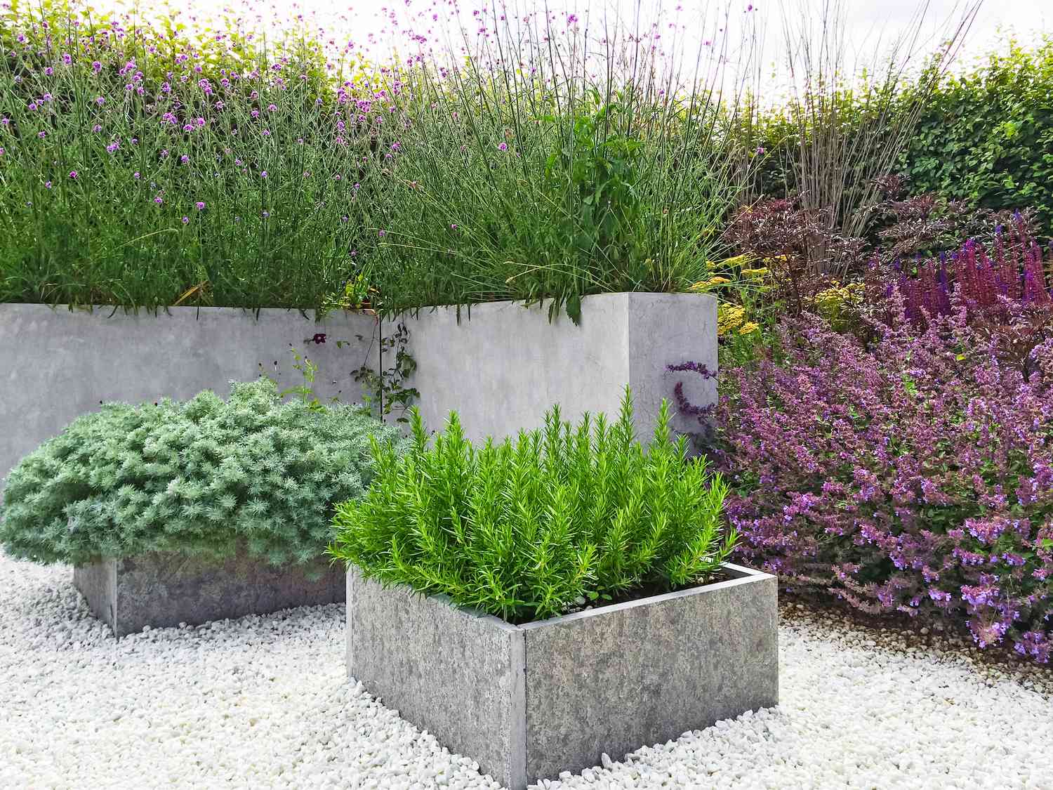 Vasos de pedra quadrados sobre canteiros de cascalho branco com ervas e plantas polinizadoras