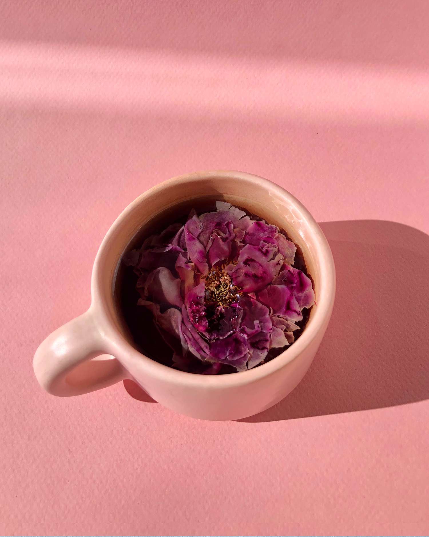 Shangri La Rose Tasse Tee