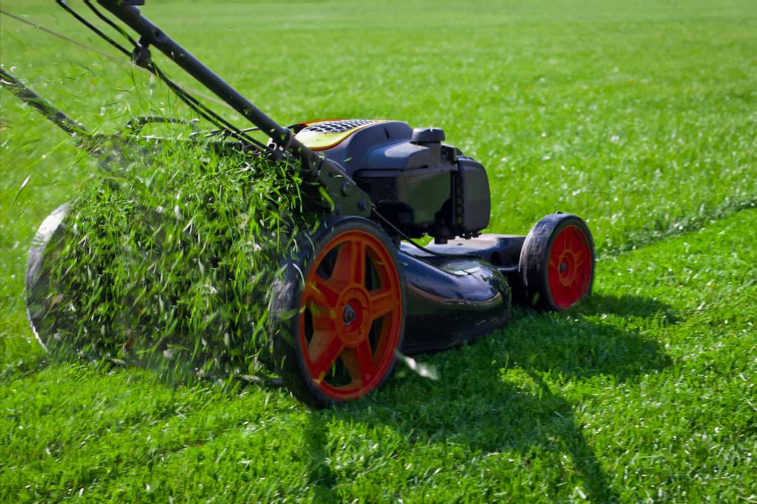 8 Schritte für eine einfache Rasenpflege im Frühling