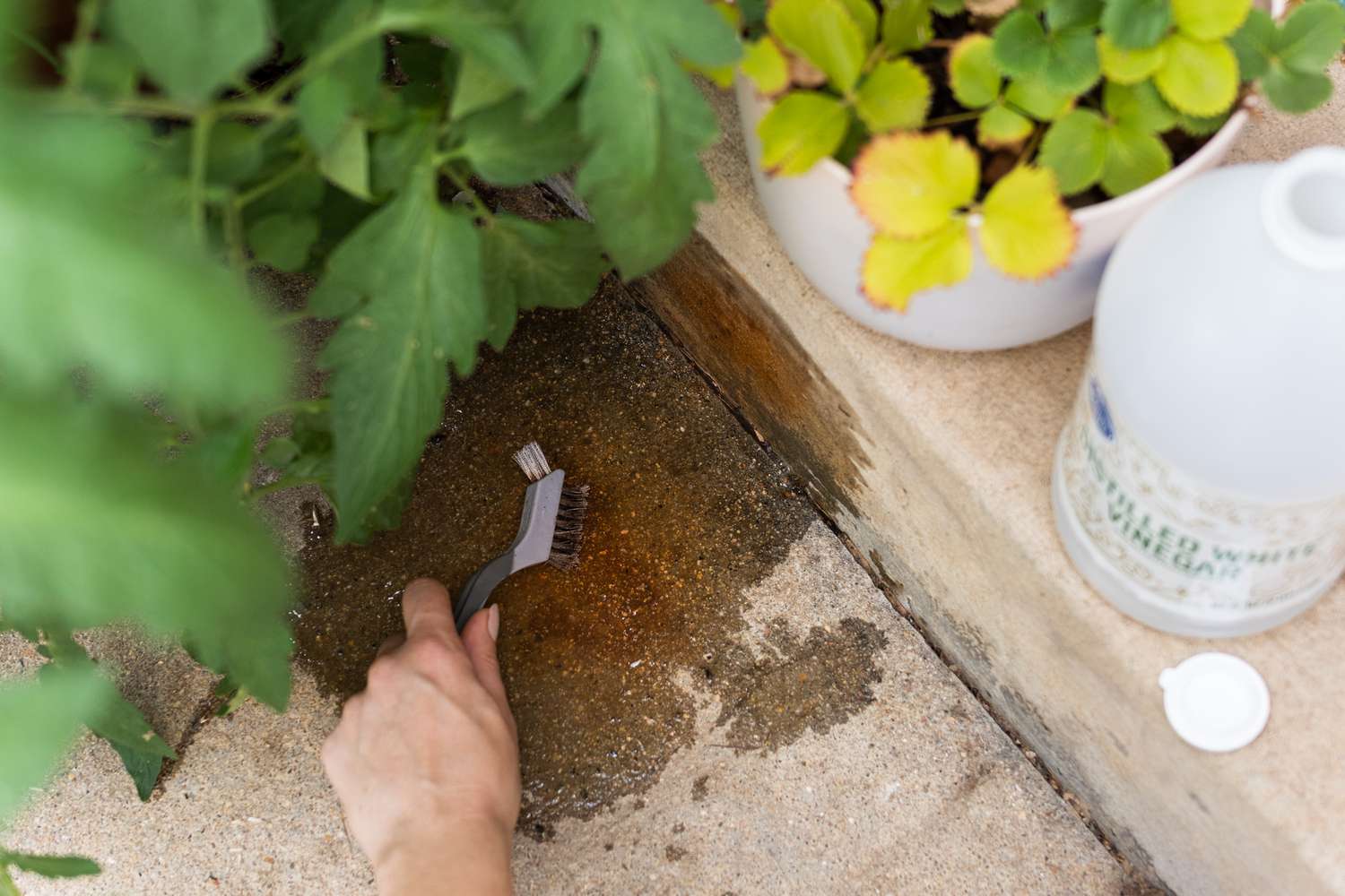 Using distilled white vinegar to remove rust from concrete