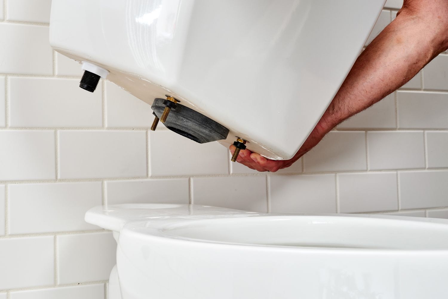 Toilettenspeicher wieder in das Becken einbauen, Schrauben in die Löcher einführen