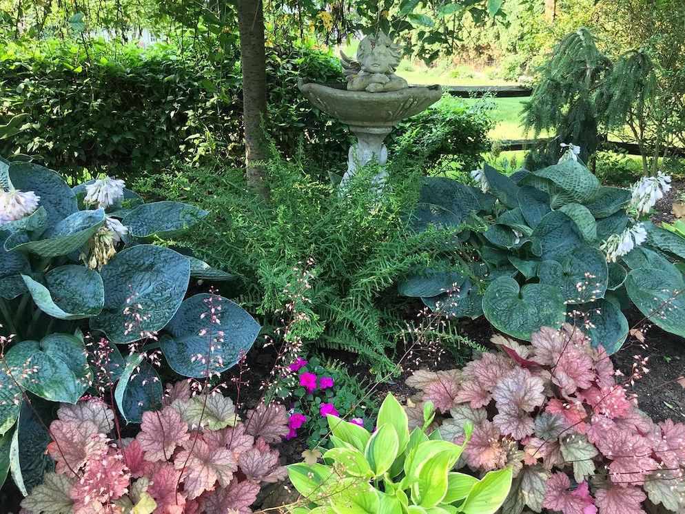 Hosta-Garten mit Heucheras, Impatiens und Farnen