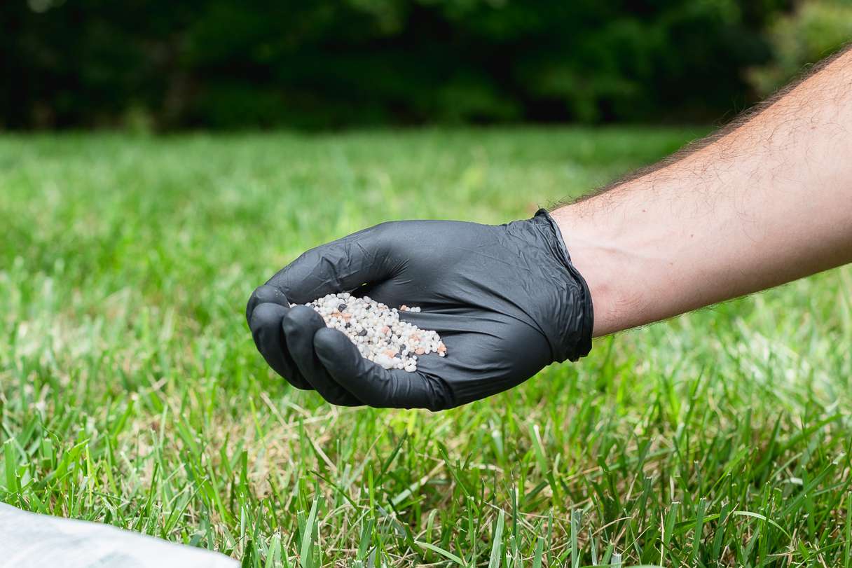 Vorteile eines stickstoffreichen Bodens für die Rasenpflege