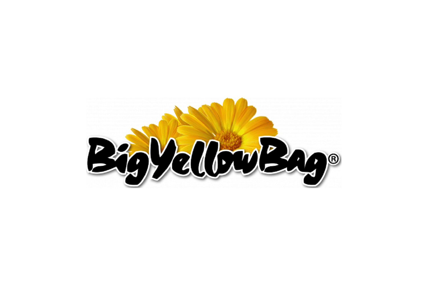 Big Yellow Bag