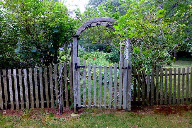 Valla de madera desgastada y puerta de cenador con arbustos