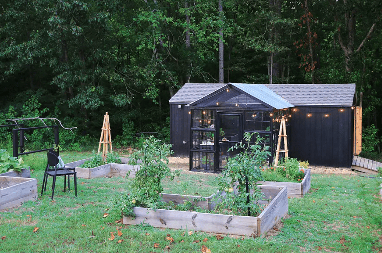 backyard garden