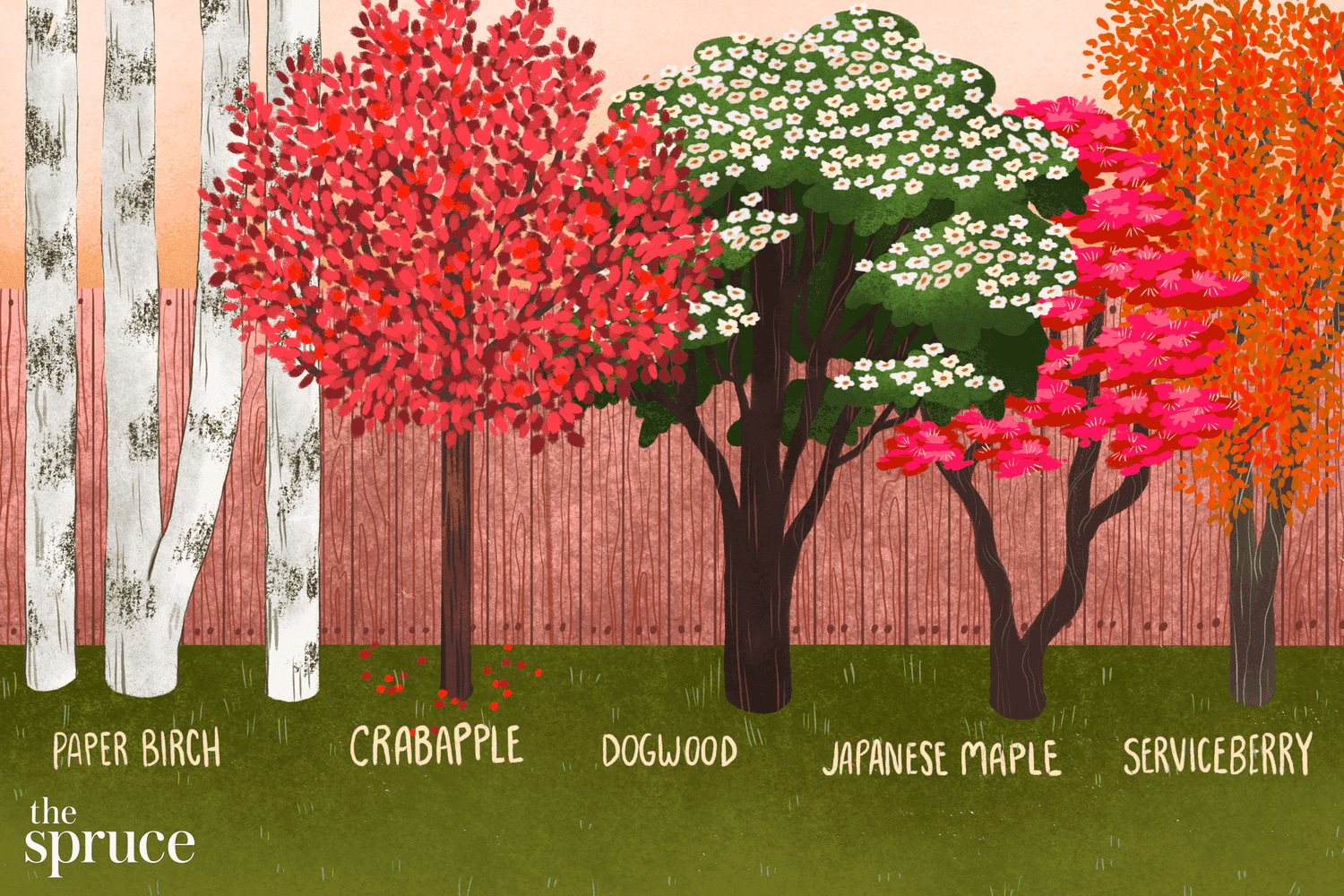ilustração de árvores para espaços pequenos