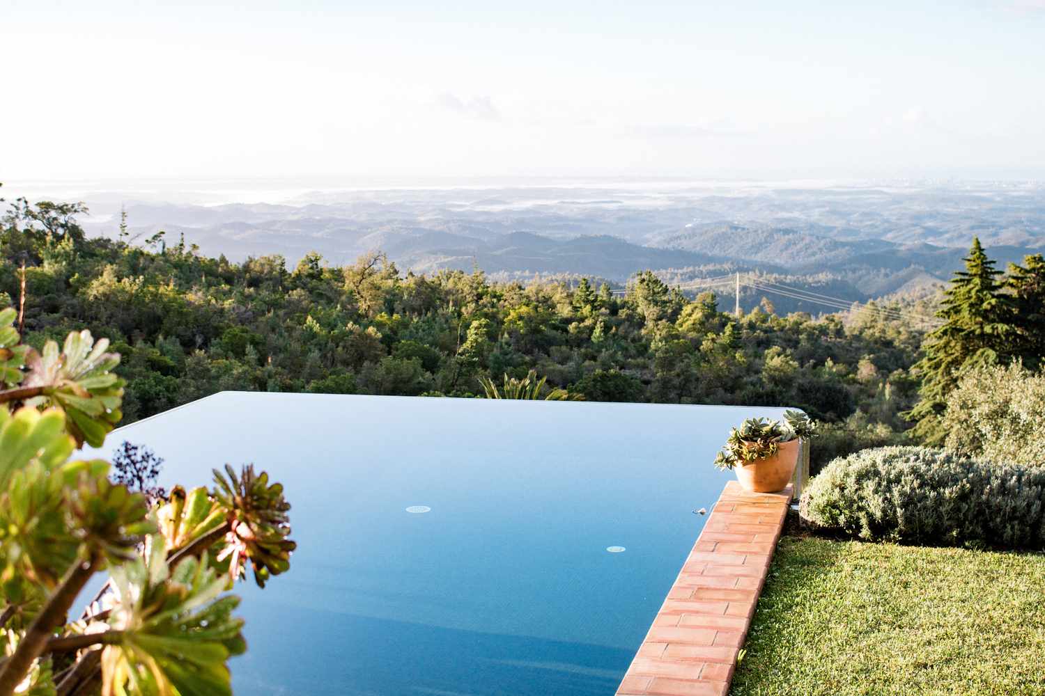 Piscina infinita con vistas a los árboles.