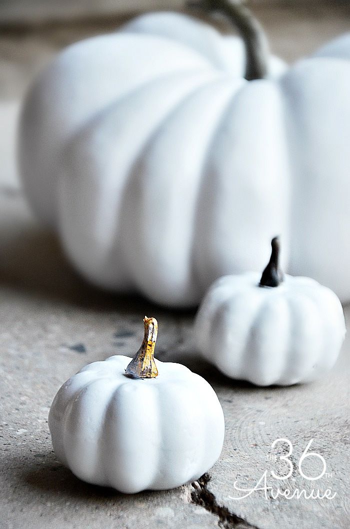 Tres calabazas blancas