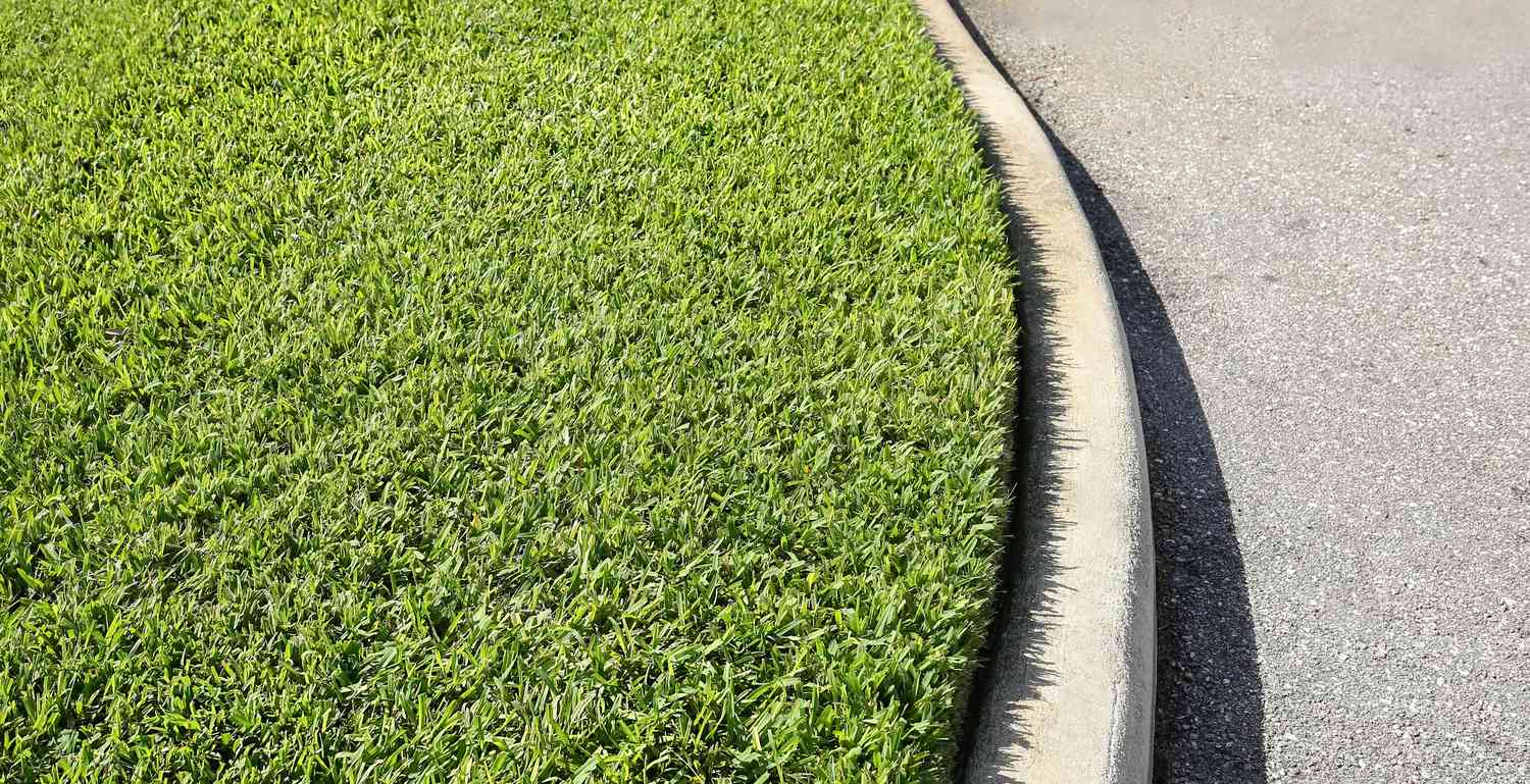 Rasen aus St. Augustine-Gras mit einem Bordstein.