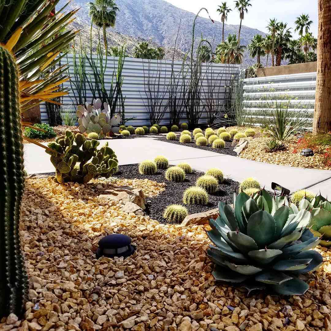 Jardim do deserto com cascalho dourado claro e uma mistura de cactos e plantas suculentas