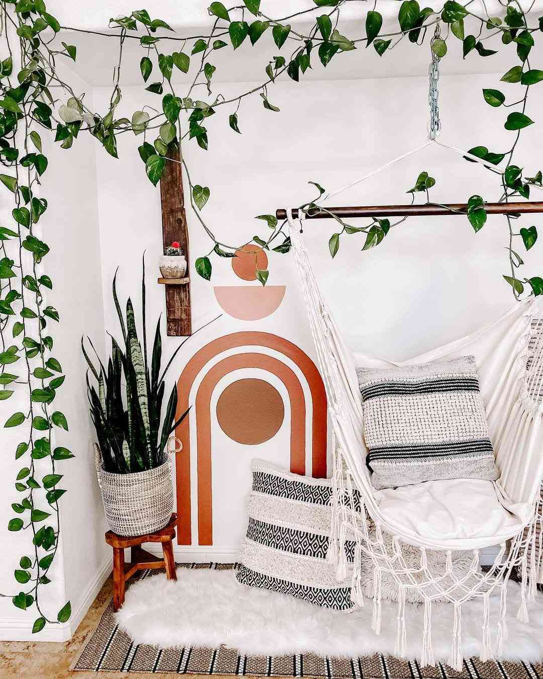 Planta drapeada sobre barra colgante y alrededor de la pared para crear un efecto cortina