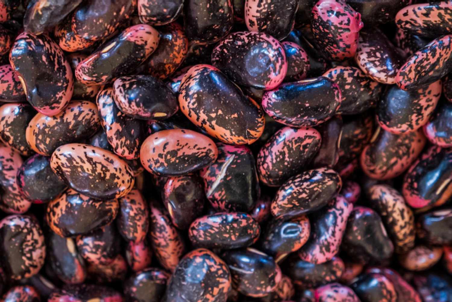 dried runner beans
