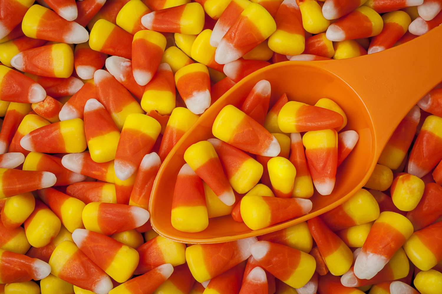 Candy corn and orange scoop