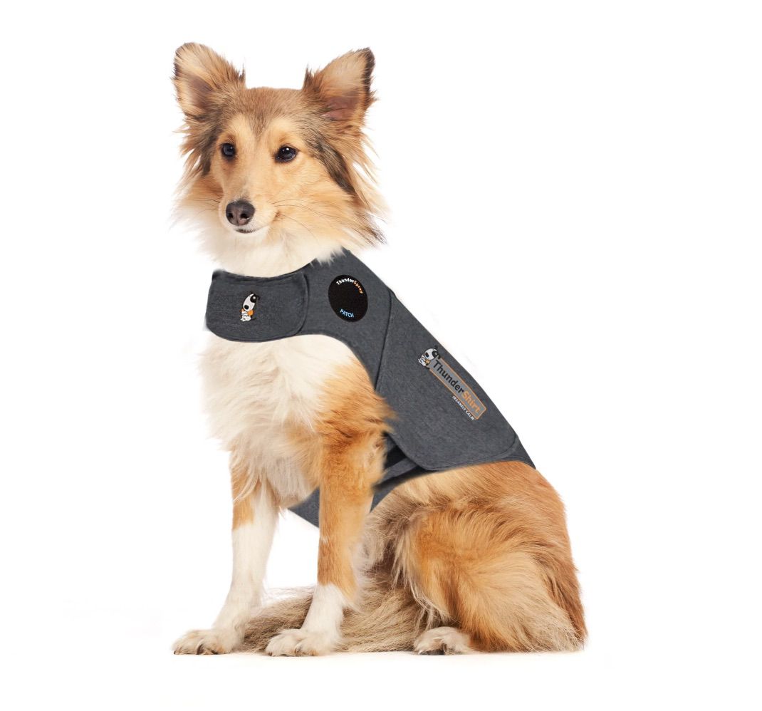 Thunderworks Thundershirt