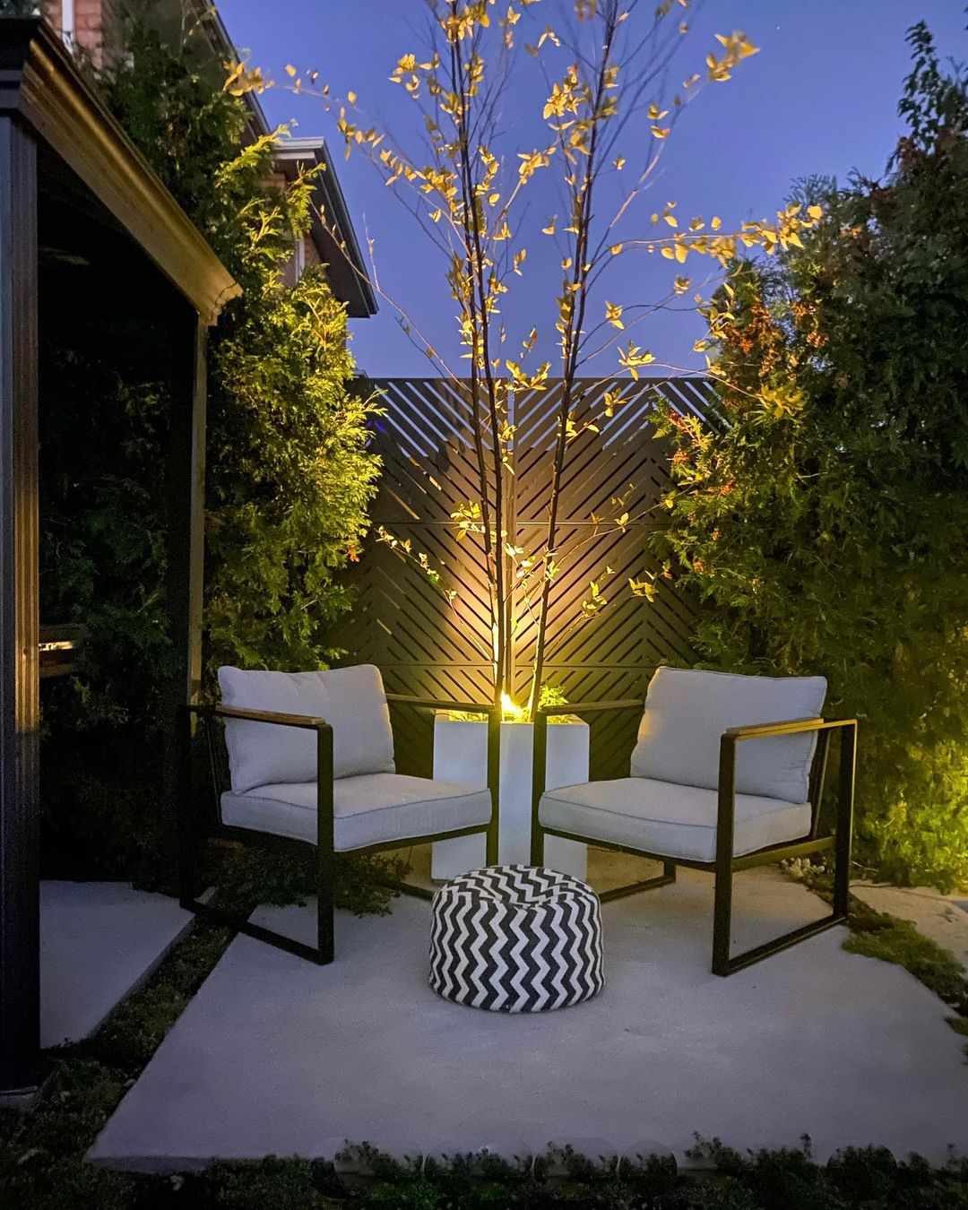 Plant with spotlight next to patio set