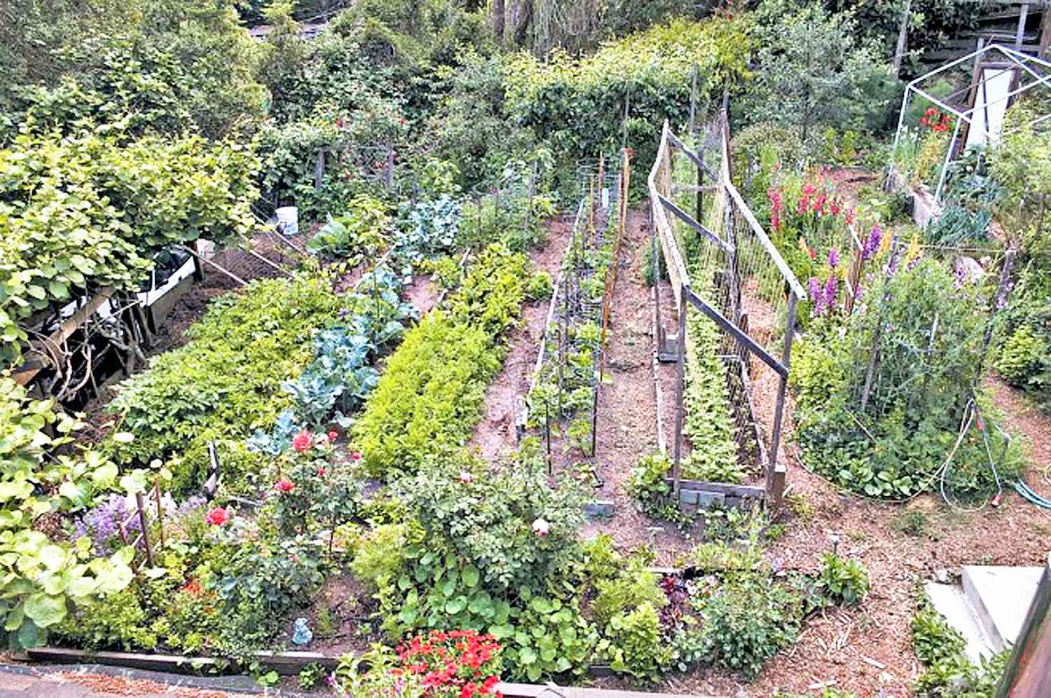 Potager en terrasse