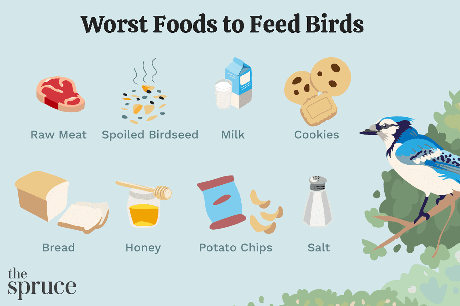 piores alimentos para pássaros