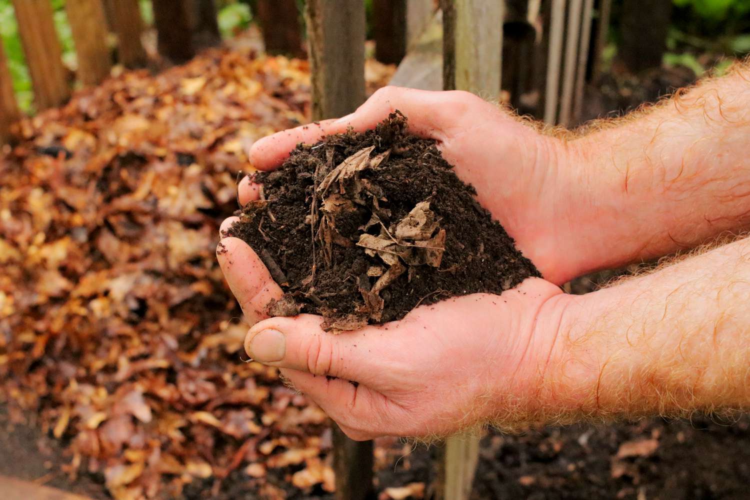 Cómo hacer y utilizar un molde de hoja para la jardinería ecológica